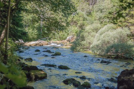 Boucle des sources de la Haute-Gillarde 27072023, 27072023-DSC_0152