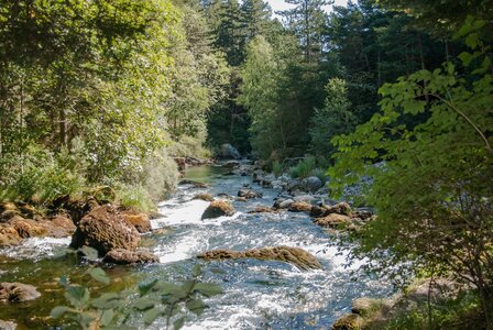 Boucle des sources de la Haute-Gillarde 27072023, 27072023-DSC_0153