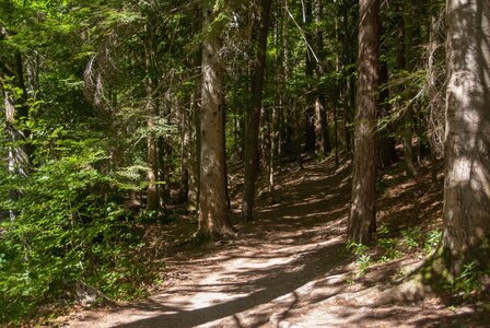 Boucle des sources de la Haute-Gillarde 27072023, 27072023-DSC_0158