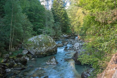 Boucle des sources de la Haute-Gillarde 27072023, 27072023-DSC_0159