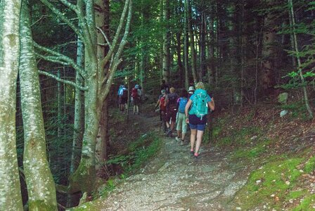 Boucle des sources de la Haute-Gillarde 27072023, 27072023-DSC_0164