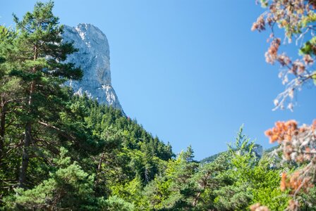 Boucle des sources de la Haute-Gillarde 27072023, 27072023-DSC_0195