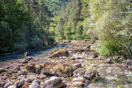 Boucle des sources de la Haute-Gillarde 27072023, 27072023-DSC_0211