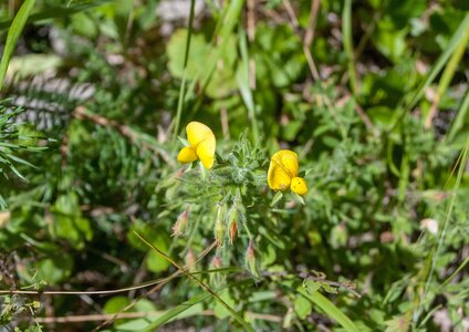 Boucle des sources de la Haute-Gillarde 27072023, 27072023-DSC_0216