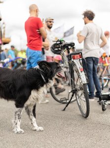 Vélorution Universelle 2023, VELORUTION-NANTES-2023-17