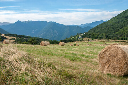 Montmaur les Sauvas et le col de Gaspardon 01082023, 01082023-DSC_0018
