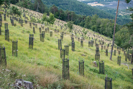 Montmaur les Sauvas et le col de Gaspardon 01082023, 01082023-DSC_0046