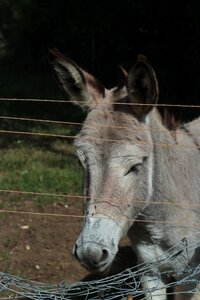 Jura: Arbois, Port-Lesney, IMG_0634