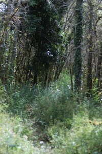 Jura: Arbois, Port-Lesney, IMG_0615