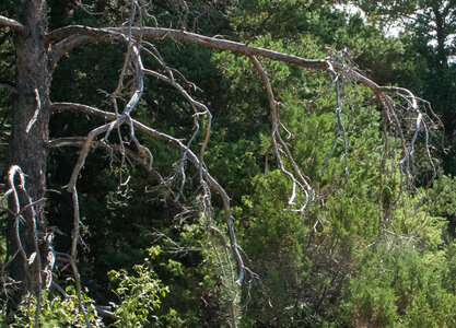 Le Lauzet-Ubaye Ancienne voie ferrée 03082023, 03082023-DSC_0230