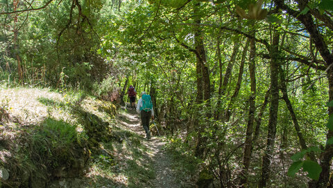 Le Lauzet-Ubaye Ancienne voie ferrée 03082023, 03082023-DSC_0235