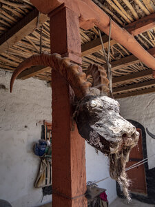 zanskar_12-07-23, sRVB-1070321