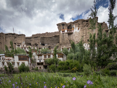 zanskar_12-07-23, sRVB-1070372