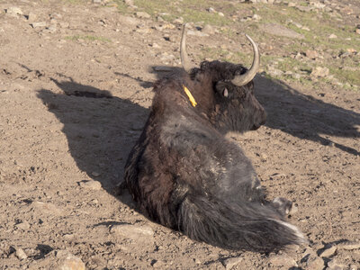 zanskar_13-07-23, sRVB-1070743