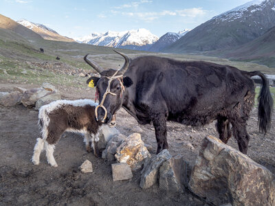 zanskar_13-07-23, sRVB-1070748