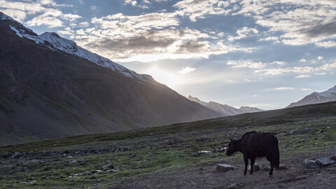 zanskar_13-07-23, sRVB-1070750