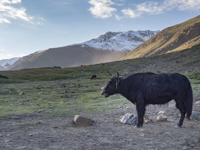 zanskar_13-07-23, sRVB-1070757