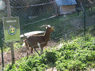 tour de Costebelle, IMG_0406