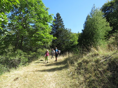 tour de Costebelle, IMG_0411