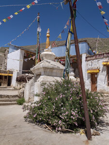 zanskar_14-07-23, sRVB-1070813