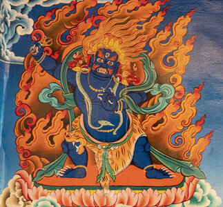 zanskar_14-07-23, sRVB-1070837