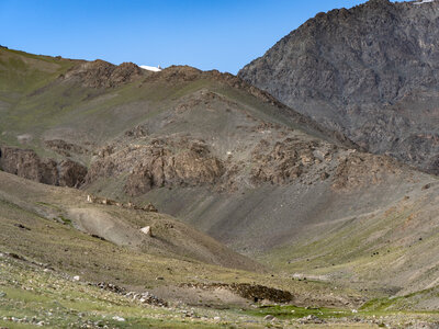 zanskar_14-07-23, sRVB-1070869