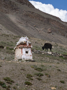 zanskar_14-07-23, sRVB-1070872