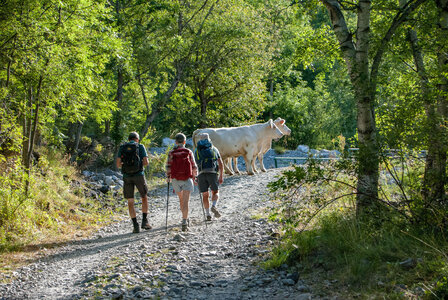 La Haute vallée de Champoléon le 10082023, 10082023-DSC_0003
