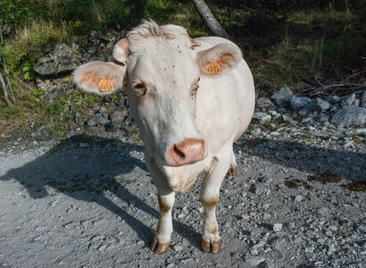 La Haute vallée de Champoléon le 10082023, 10082023-DSC_0004