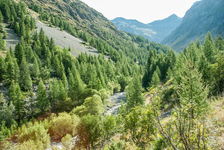 La Haute vallée de Champoléon le 10082023, 10082023-DSC_0024