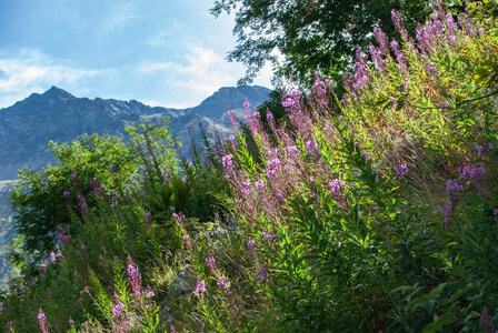 La Haute vallée de Champoléon le 10082023, 10082023-DSC_0041
