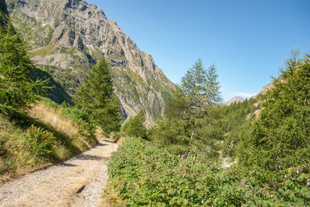 La Haute vallée de Champoléon le 10082023, 10082023-DSC_0042