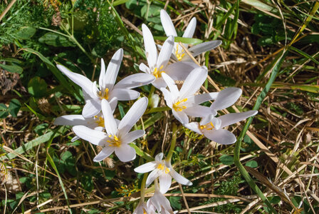 La Haute vallée de Champoléon le 10082023, 10082023-DSC_0049