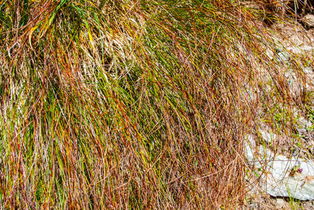 La Haute vallée de Champoléon le 10082023, 10082023-DSC_0083