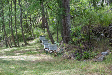 La Haute vallée de Champoléon le 10082023, 10082023-DSC_0109