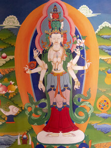 zanskar_15-07-23, sRVB-1081233