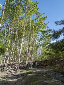 zanskar_15-07-23, sRVB-1081249