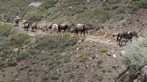 zanskar_17-07-23, sRVB-1081354