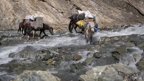 zanskar_18-07-23, sRVB-1081384