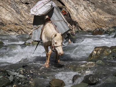 zanskar_18-07-23, sRVB-1081386