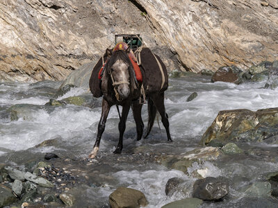 zanskar_18-07-23, sRVB-1081387