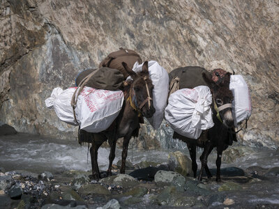 zanskar_18-07-23, sRVB-1081389