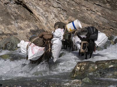 zanskar_18-07-23, sRVB-1081390