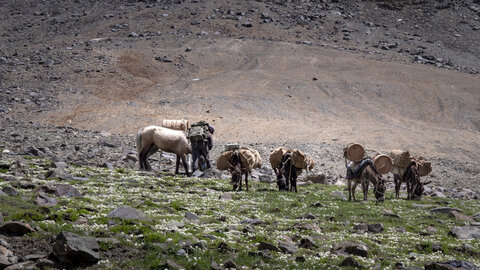 zanskar_18-07-23, sRVB-1081394