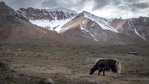 zanskar_18-07-23, sRVB-1081429