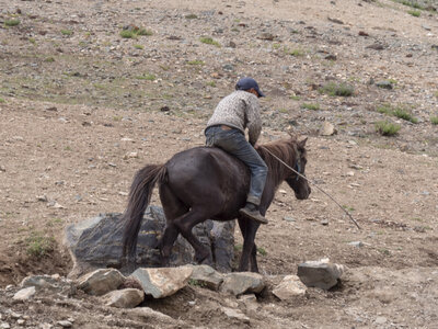 zanskar_19-07-23, sRVB-1081486