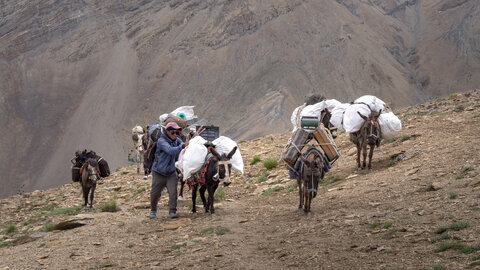 zanskar_20-07-23, sRVB-1081560