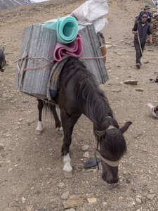 zanskar_20-07-23, sRVB-1081562