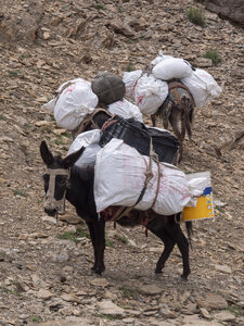 zanskar_20-07-23, sRVB-1081564
