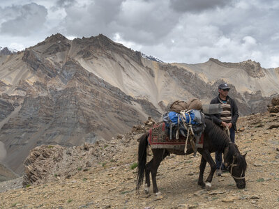zanskar_20-07-23, sRVB-1081566